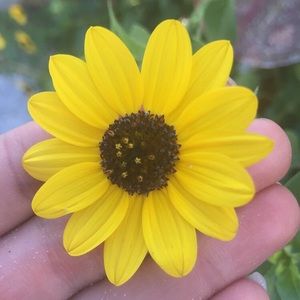 Meet your Posher, Kenzie